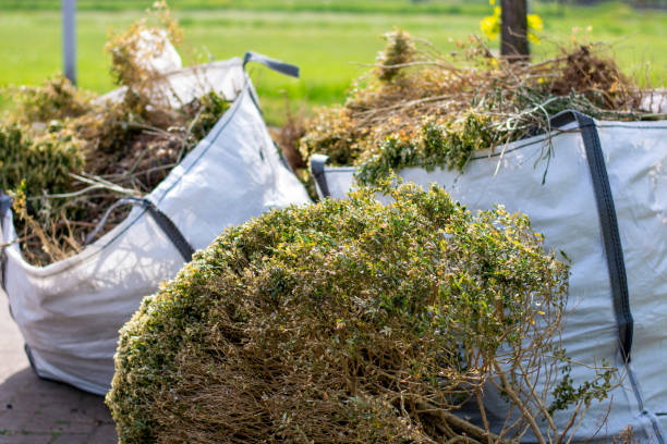 Best Local Junk Hauling  in Ripon, CA